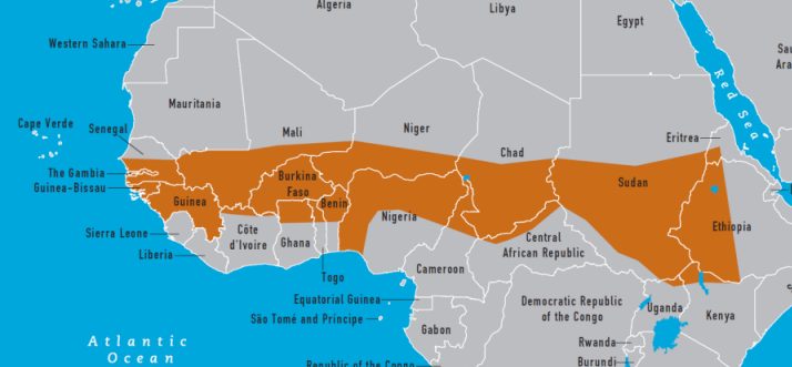 African-Meningitis-Outbreak-1996-1997
