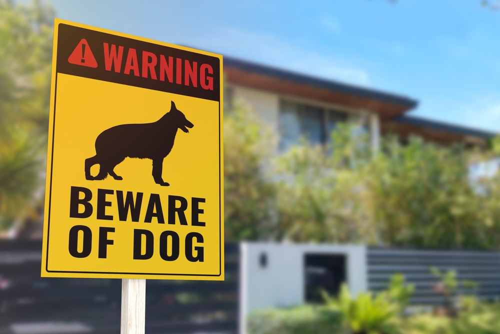 beware of the dog