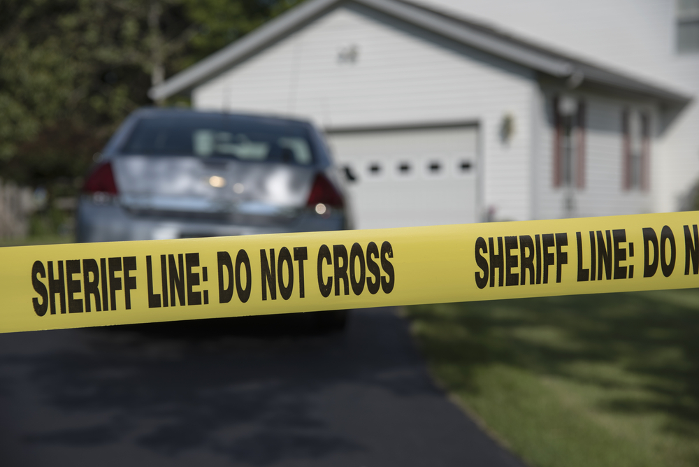 Recent Mass Shooting