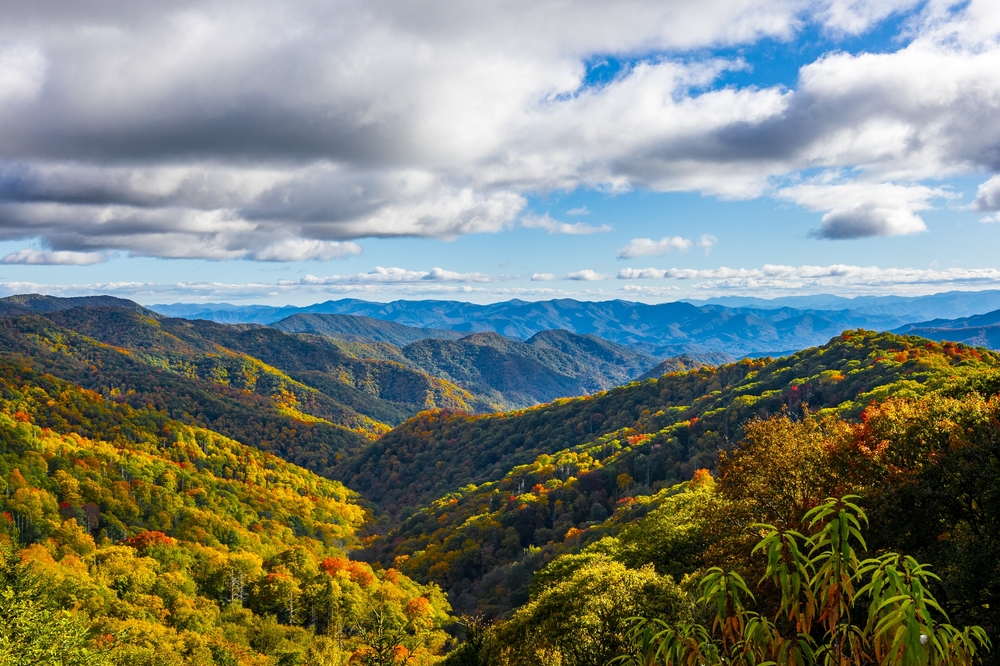 Great Smoky Mountains National Park